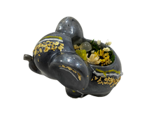 Load image into Gallery viewer, Black/Yellow Elephant Garden
